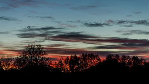 Silhouette of trees against sky at sunset