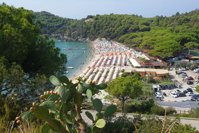 High angle view of trees by sea