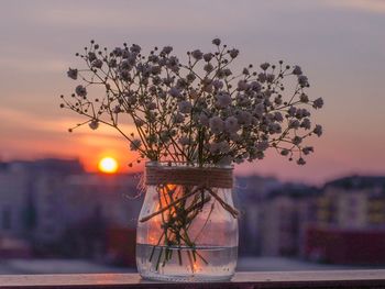 Close-up of flower on table against sunset sky