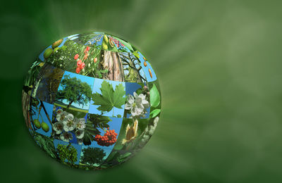 Close-up of leaf on glass