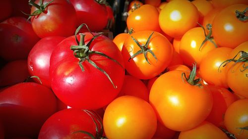 Full frame shot of tomatoes for sale