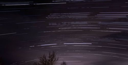 Low angle view of illuminated trees against sky at night