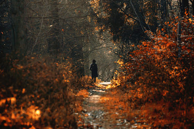 High angle view of woman in puddle