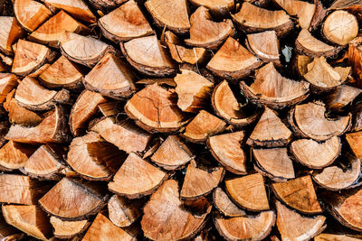 Full frame shot of logs in forest
