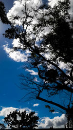 Low angle view of silhouette trees against blue sky