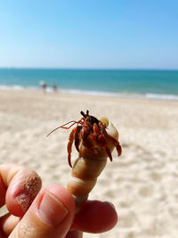 Midsection of person on beach