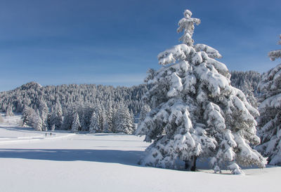 Winter landscape on an alpine plateau in the belledonne massif in chamrousse