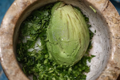 High angle view of fresh green water in bowl