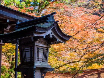 Low angle view of house in forest during autumn