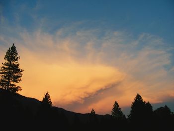 Silhouette of trees at sunset