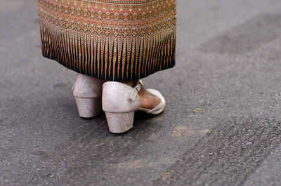 Low section of woman on road