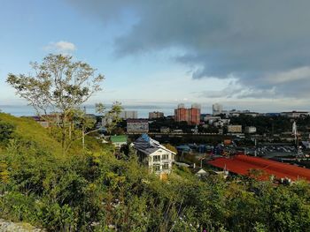 High angle view of trees and buildings against sky