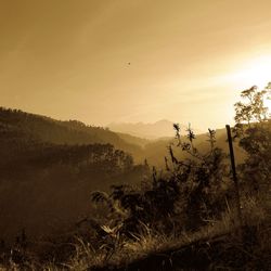 Scenic view of field against sky during sunset