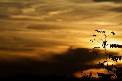 Scenic view of dramatic sky during sunset