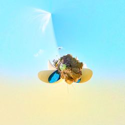 Close-up of insect on flower against clear blue sky