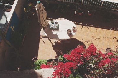 Woman looking at flowers