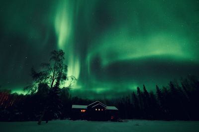 Scenic view of illuminated trees against sky at night