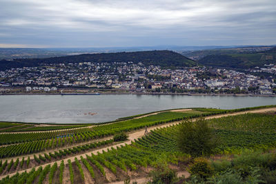 Aerial view of city by sea against sky