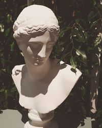 Close-up of statue against plants