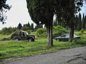 Cars on road amidst trees against sky