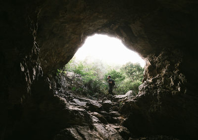 Silhouette trees seen through arch