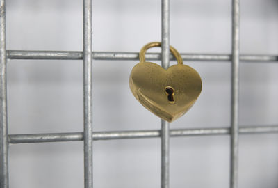 Close-up of love padlocks hanging on metal