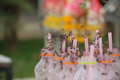 Close-up of cross against blurred background