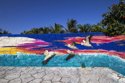 A mural of pelicans on a stone wall in isla mujeres in mexico