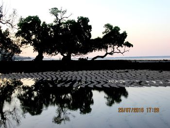 Tree by water against sky