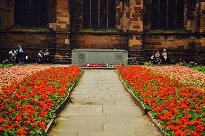 War memorial amidst flowers in garden of chester cathedral