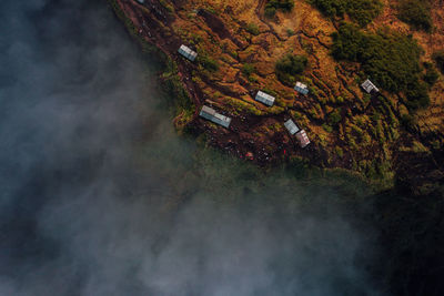 High angle view of trees in forest