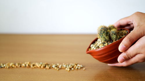 Close-up of person holding ice cream on table
