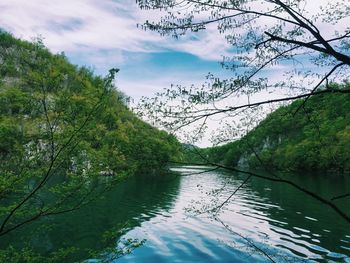 Calm lake along lush landscape