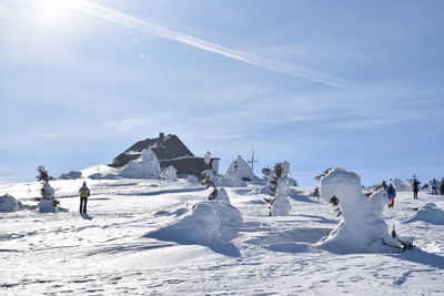 People on snowcapped mountain against sky