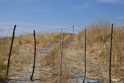 Wooden fence on field against sky