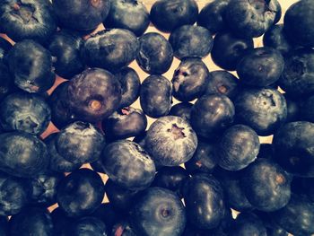 Full frame shot of blueberries