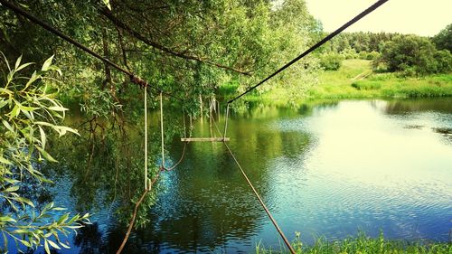 Reflection of trees in lake