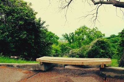 Empty bench in park