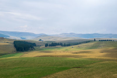 Scenic view of landscape against sky