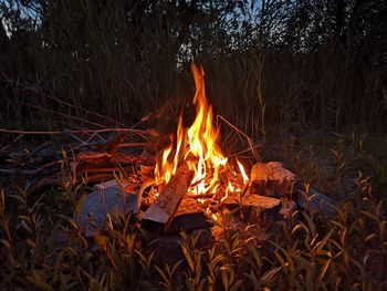 Bonfire on wooden structure in field