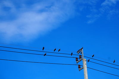 Low angle view of birds perching on cable