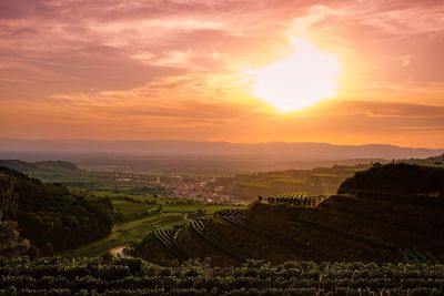 Scenic view of field against sky during sunset