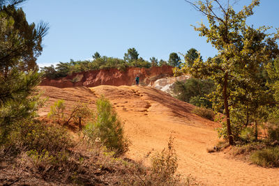 Dirt road amidst trees against clear sky