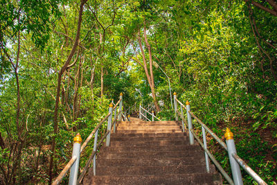 Staircase amidst trees in forest