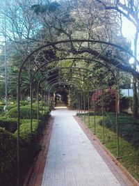 Footpath in park