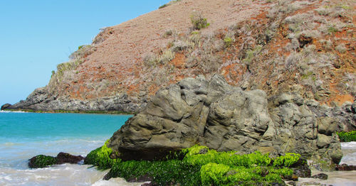 Scenic view of sea against clear sky