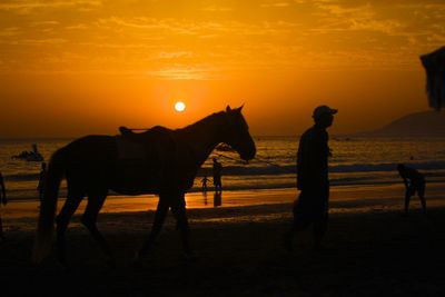 Sunset over sea