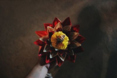 Close-up of yellow flowers