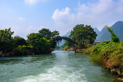 Scenic view of river amidst trees against sky