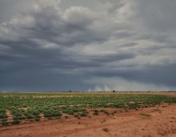 Scenic view of field against cloudy sky